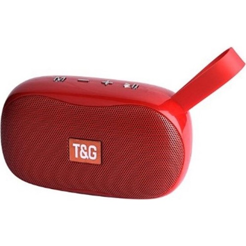 Polygold TG-173 Wireless Speaker